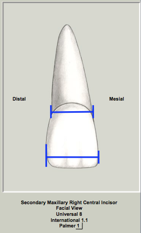 Mx Central Width Facial.png